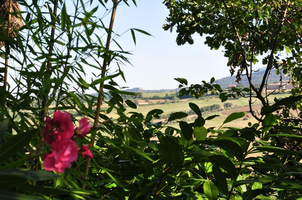 Hotel Firenze Chianciano Terme Εξωτερικό φωτογραφία