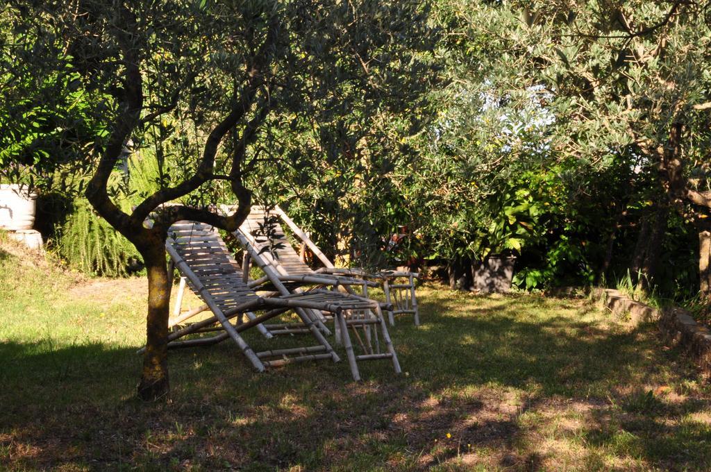 Hotel Firenze Chianciano Terme Εξωτερικό φωτογραφία